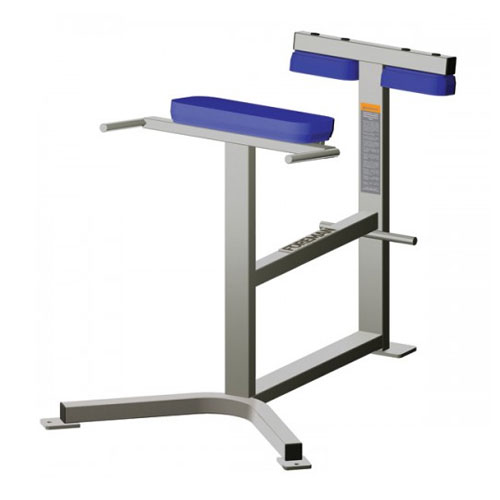 Разгибание спины FOREMAN FW-311 светло-серебряный/графит