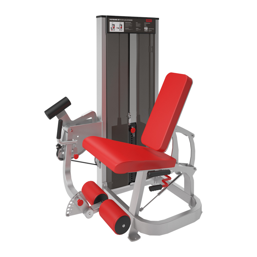 FOREMAN FN-101 Разгибание ног